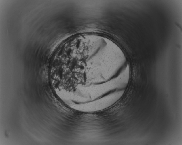 X0000103251356200809251341