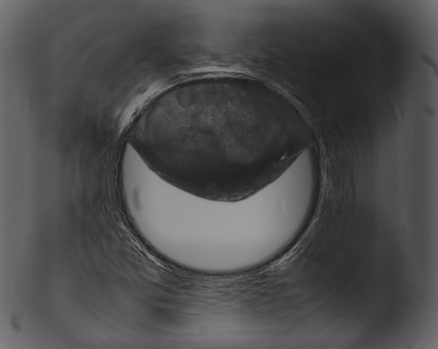X0000103251357200809251341