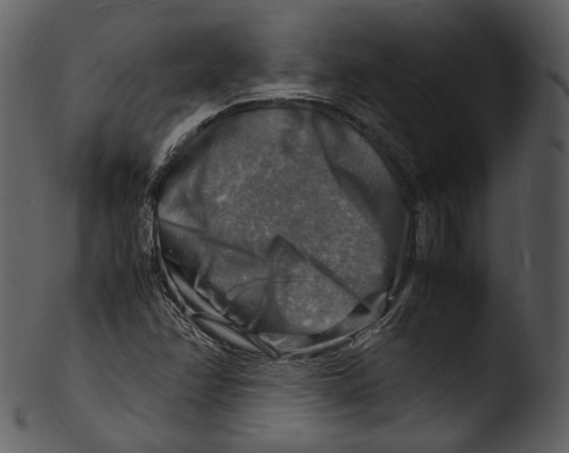 X0000103251358200809251341