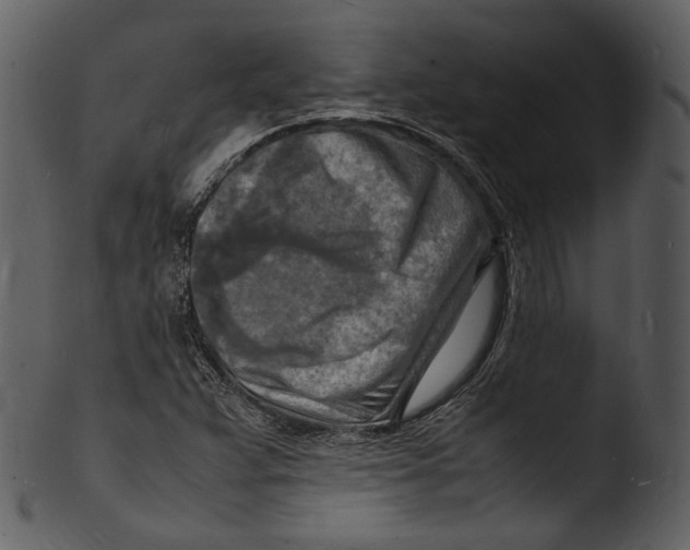 X0000103251359200809251341