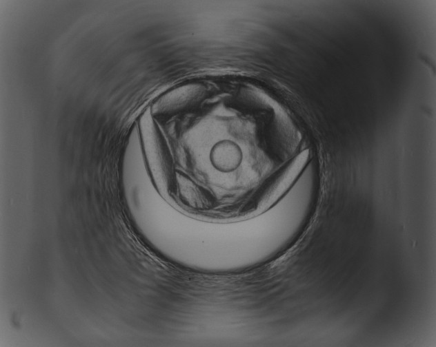 X0000103251361200809251341