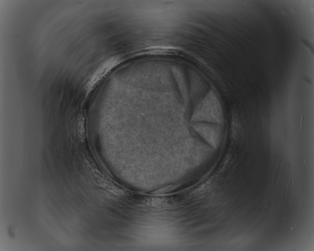 X0000103251362200809251341