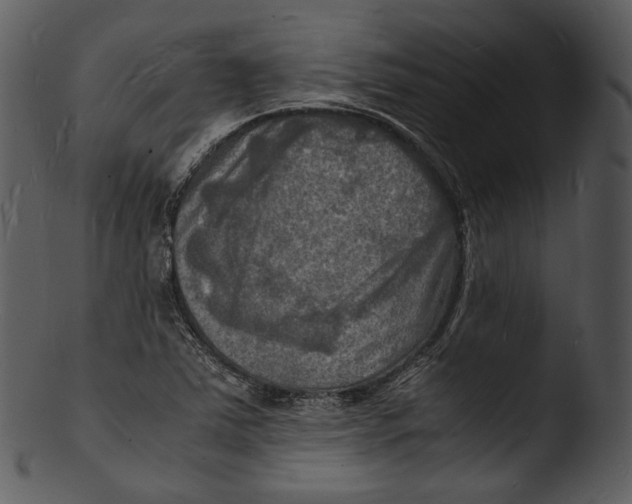 X0000103251363200809251341
