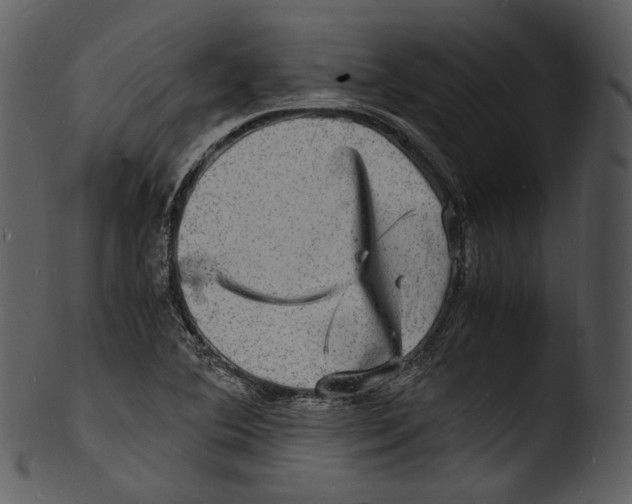 X0000103251364200809251341