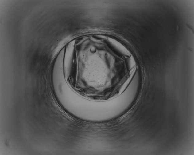 X0000103251365200809251341