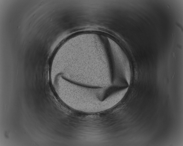 X0000103251368200809251341
