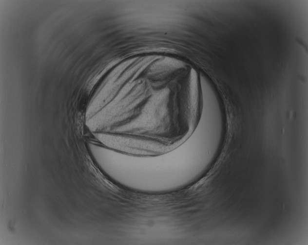 X0000103251369200809251341