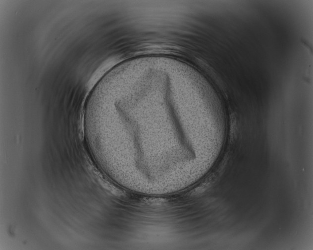 X0000103251370200809251341