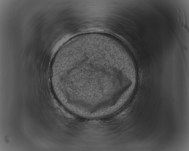 X0000103251373200809251341