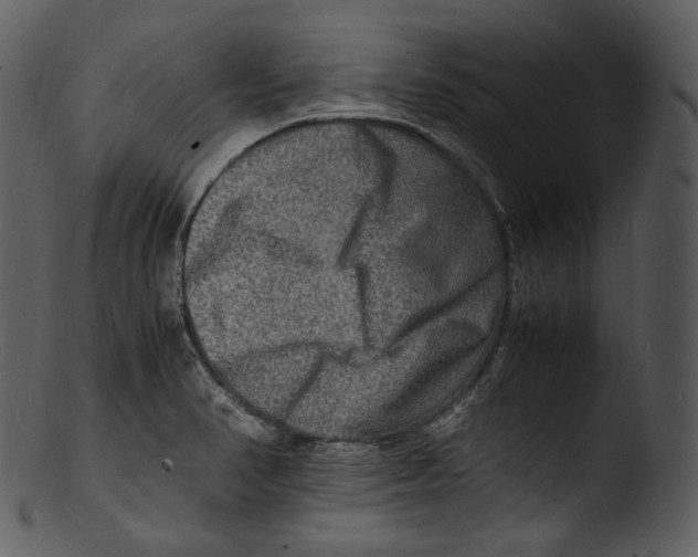X0000103251374200809251341