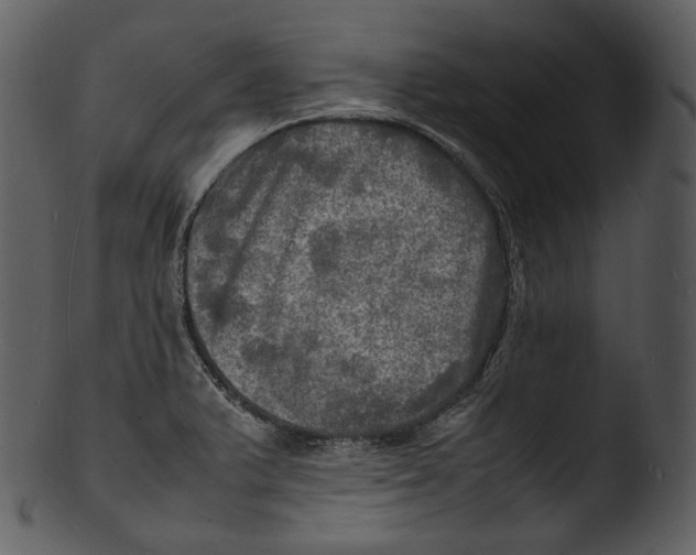 X0000103251375200809251341