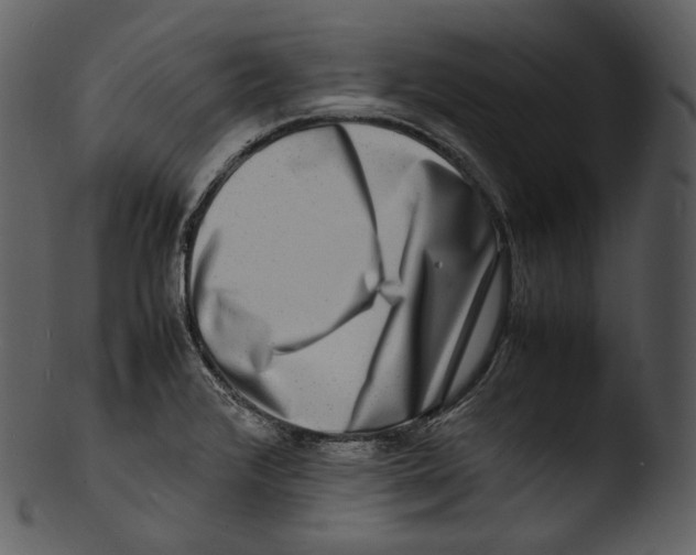 X0000103251376200809251341