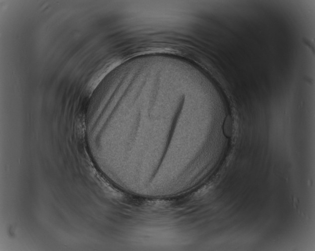 X0000103251377200809251341