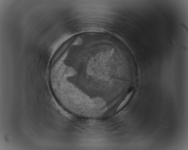 X0000103251379200809251341
