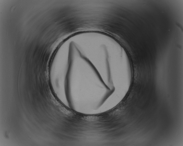 X0000103251380200809251341
