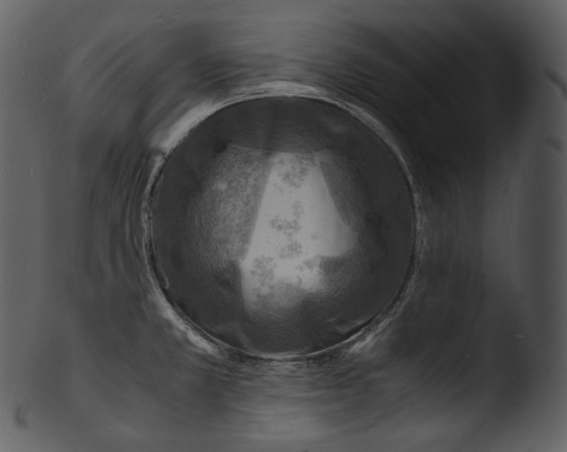 X0000103251381200809251341