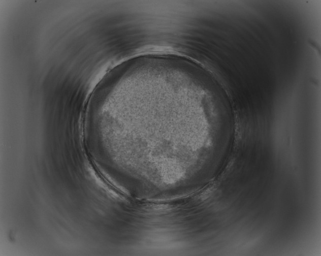 X0000103251382200809251341