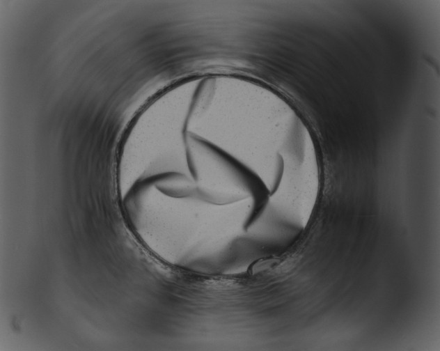 X0000103251384200809251341