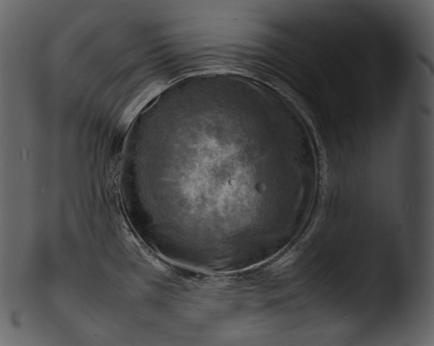 X0000103251385200809251341