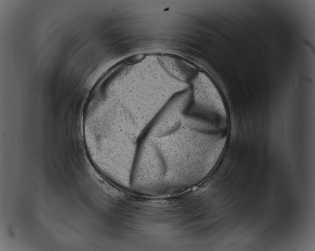 X0000103251388200809251341