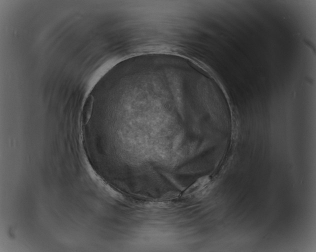 X0000103251389200809251341