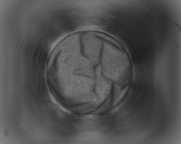 X0000103251390200809251341