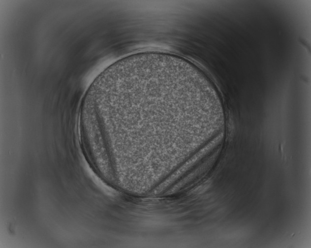 X0000103251391200809251341