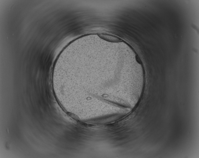 X0000103251392200809251341