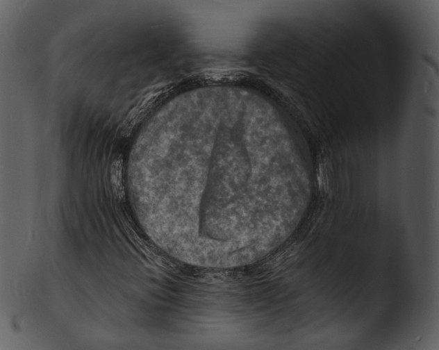 X0000103251396200809251340