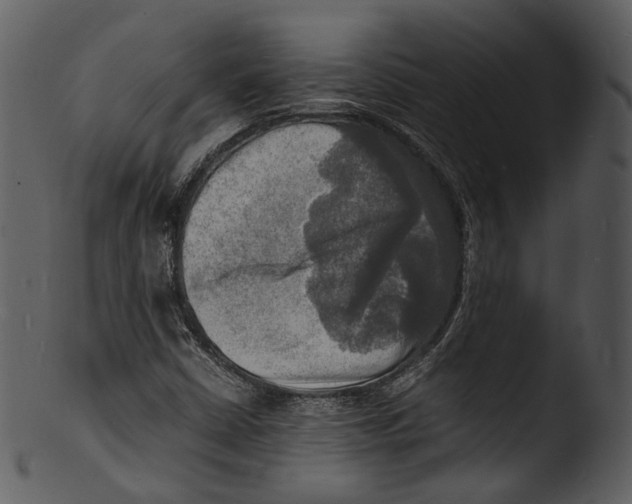X0000103251402200809251340