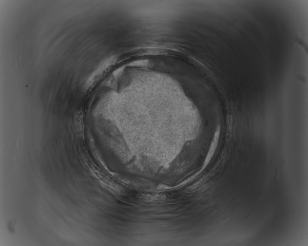 X0000103251403200809251340