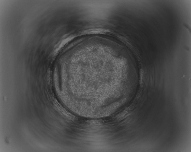 X0000103251404200809251340