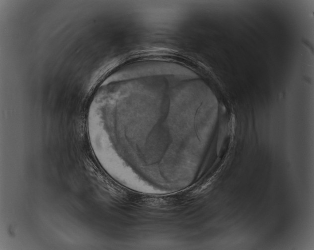 X0000103251405200809251340