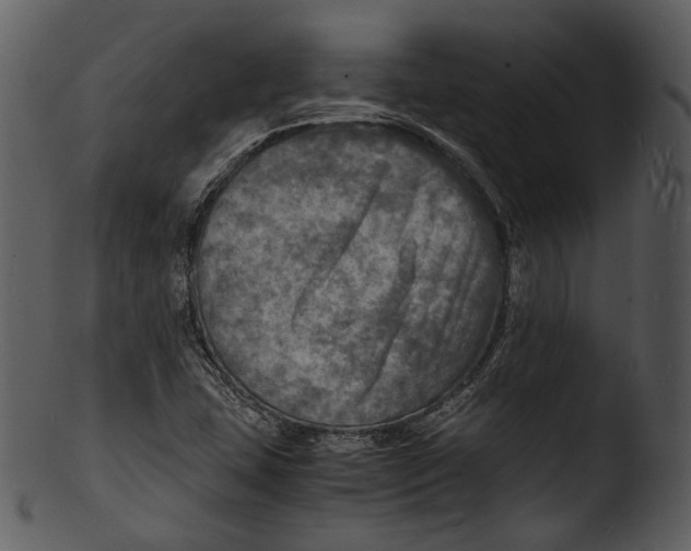 X0000103251407200809251340