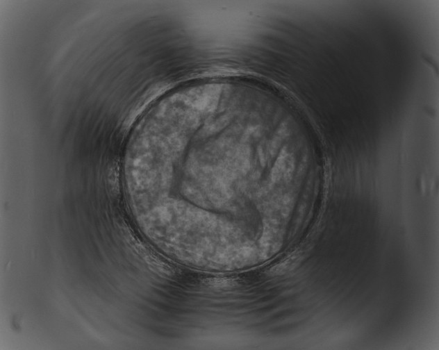X0000103251409200809251340