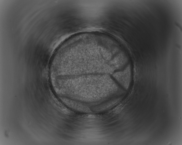 X0000103251412200809251340