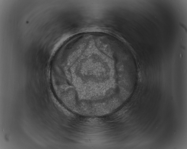 X0000103251416200809251340