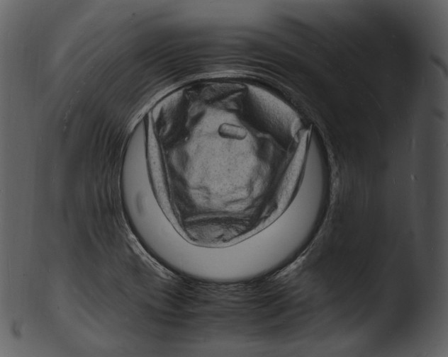 X0000103251417200809251340