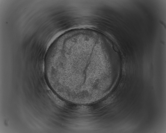 X0000103251420200809251340