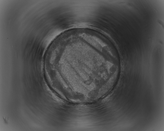 X0000103251424200809251340