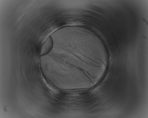X0000103251425200809251340