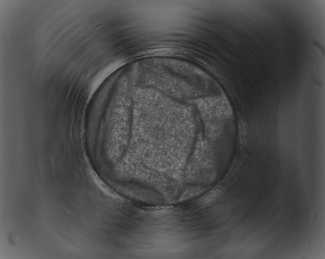 X0000103251426200809251340