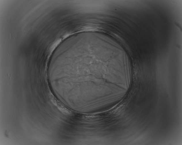 X0000103251427200809251340