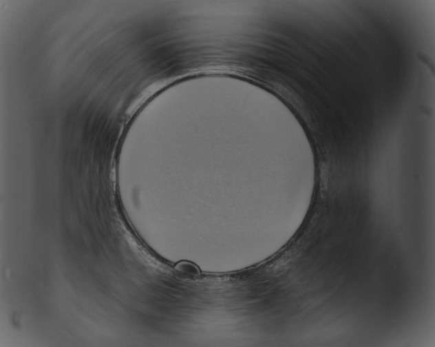 X0000103251428200809251340