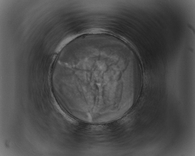 X0000103251429200809251340