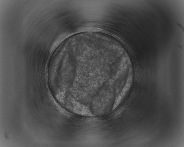 X0000103251430200809251340