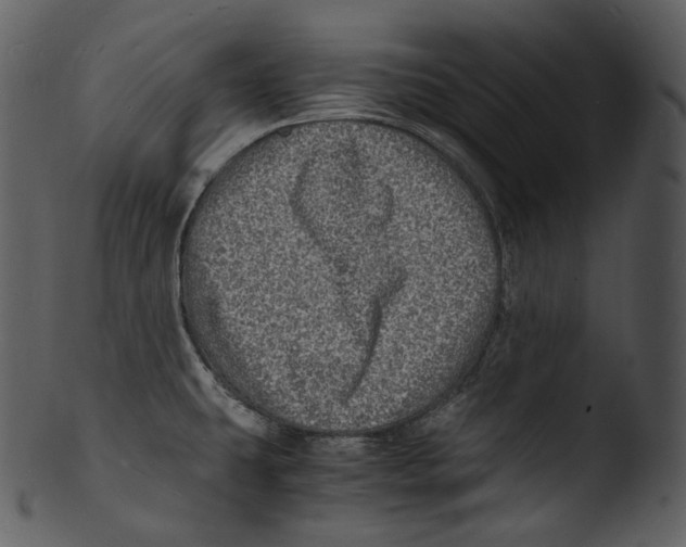 X0000103251431200809251340