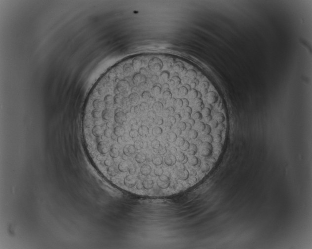 X0000103251432200809251340
