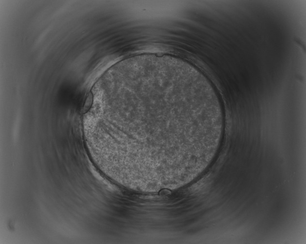 X0000103251433200809251340