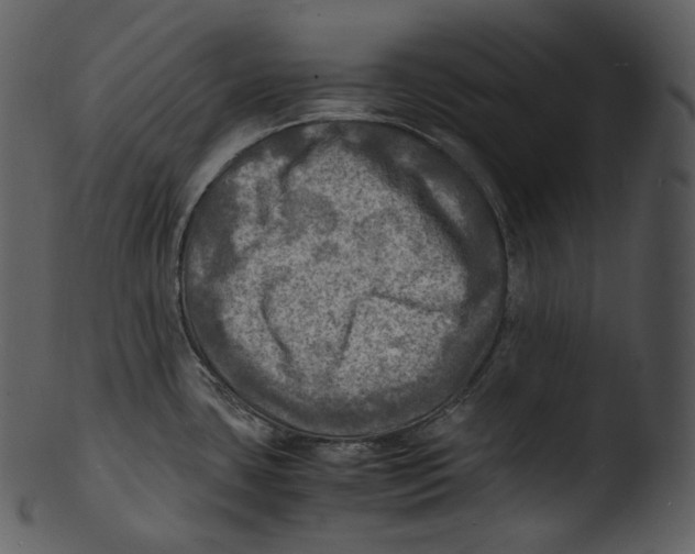 X0000103251435200809251340